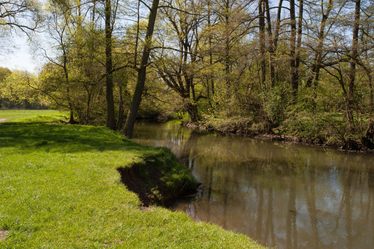 Entlang der Pegnitz 04