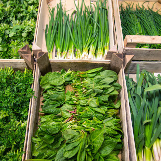 ( Bild: Christine Dierenbach / Stadt Nürnberg ) Knoblauchsland