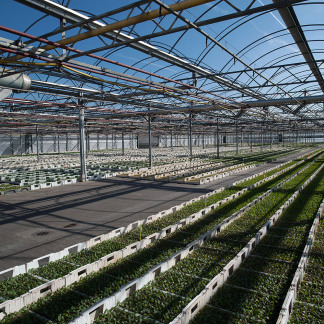 ( Bild: Christine Dierenbach / Stadt Nürnberg ) Knoblauchsland