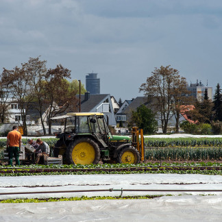 ( Bild: Christine Dierenbach / Stadt Nürnberg ) Knoblauchsland