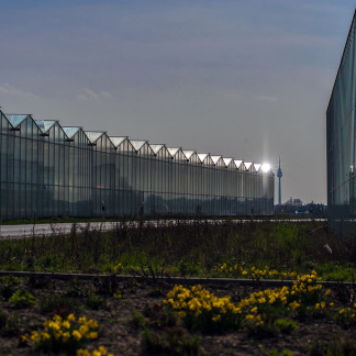 ( Bild: Christine Dierenbach / Stadt Nürnberg ) Knoblauchsland