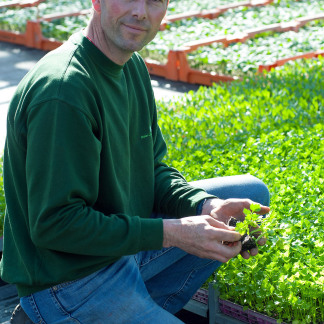 ( Bild: Christine Dierenbach / Stadt Nürnberg ) Knoblauchsland