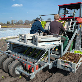 ( Bild: Christine Dierenbach / Stadt Nürnberg ) Knoblauchsland