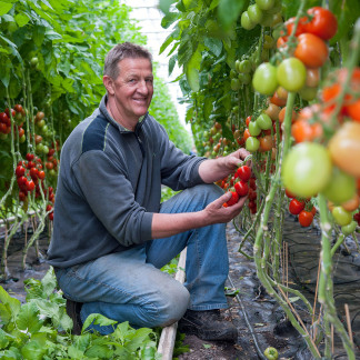 ( Bild: Christine Dierenbach / Stadt Nürnberg ) Knoblauchsland