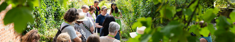 Stadt(ver)führungen im Heilkräutergarten.