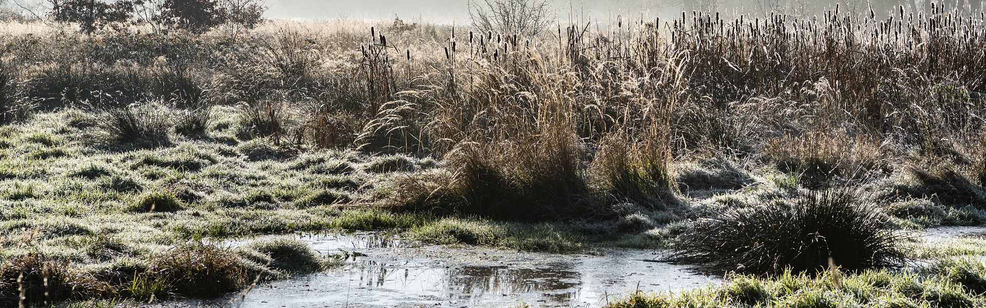 Das Gründlachtal im Winter.