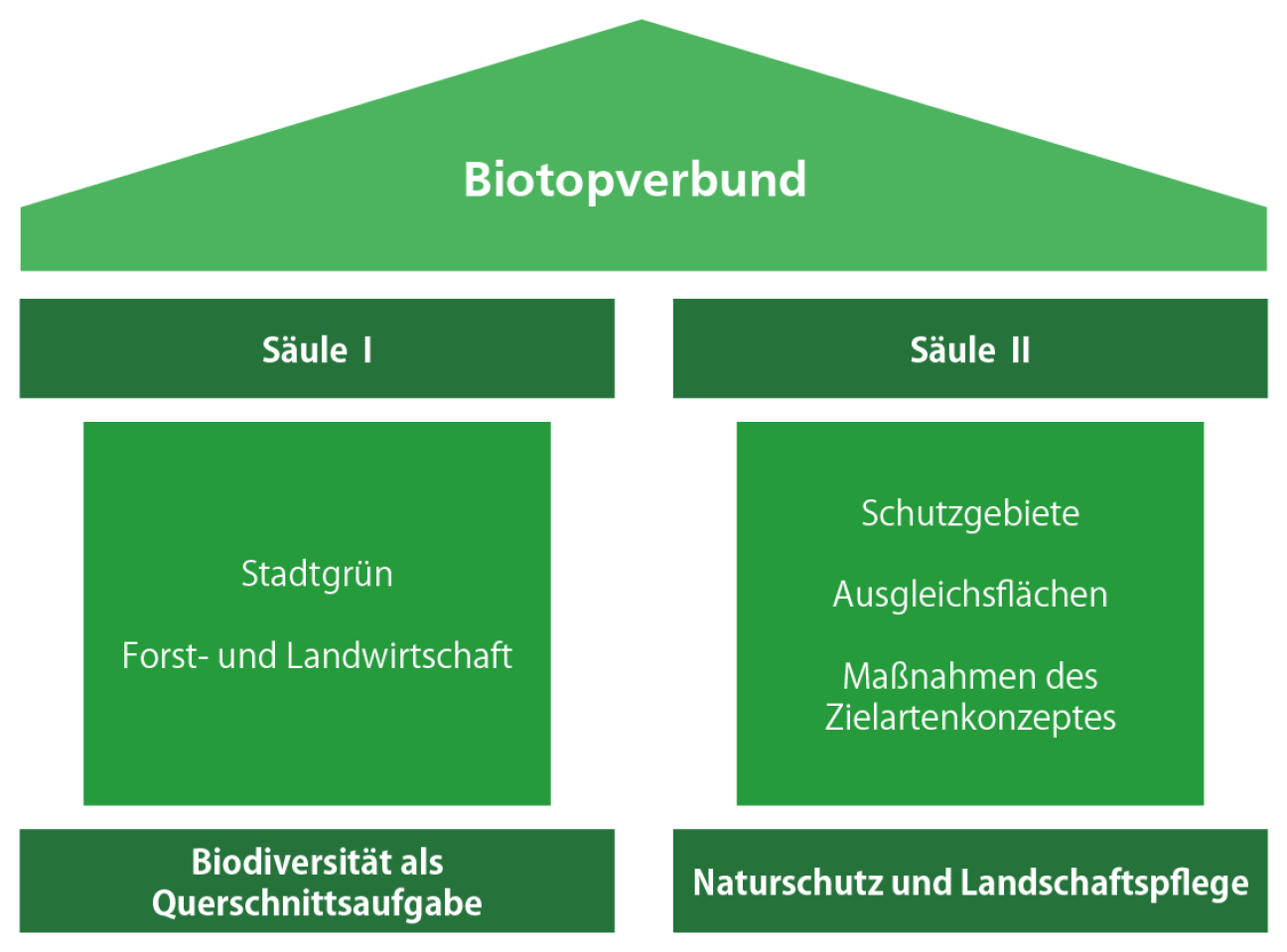 Bild © Eliah Bernick Die zentralen Säulen der Biodiversitätsstrategie, Bild © Eliah Bernick