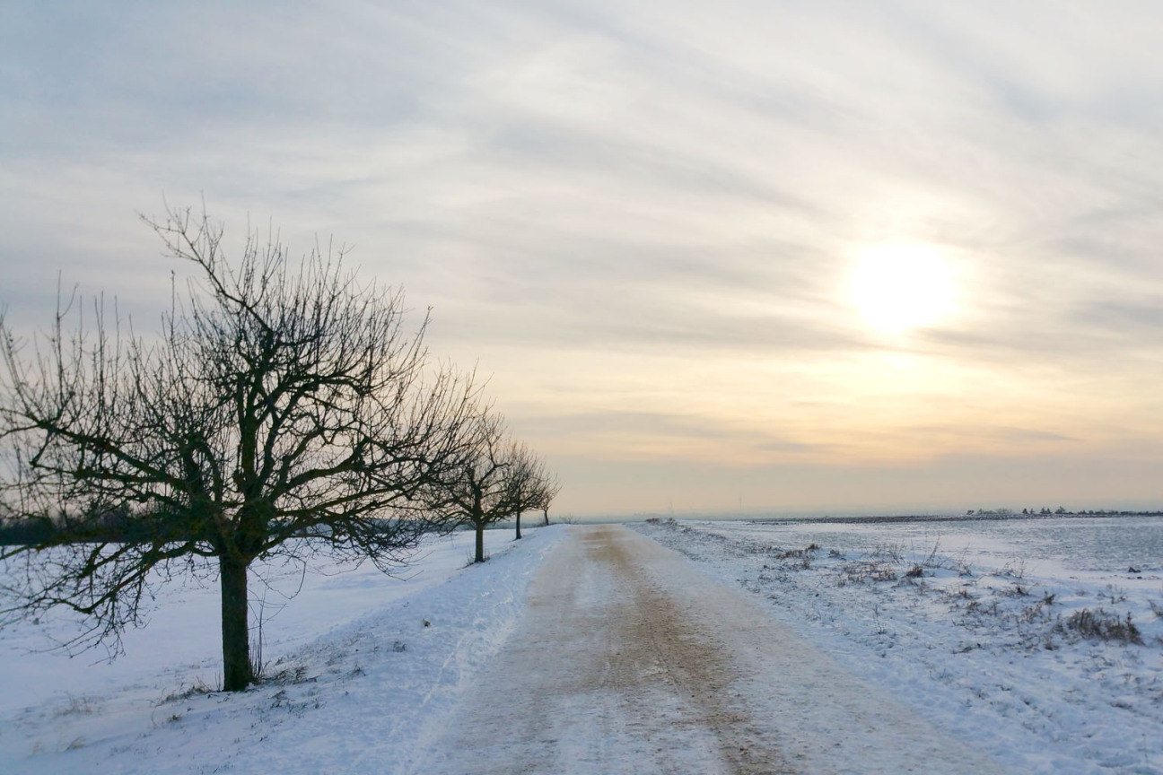 Bild © Heike Bauer / Stadt Nürnberg Kalchreuther Drachenberg im Winter, Bild © Heike Bauer / Stadt Nürnberg