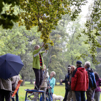 Stadtverführungen 2013