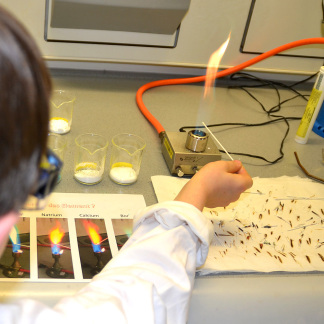 ( Bild: Heike Bauer / Stadt Nürnberg )