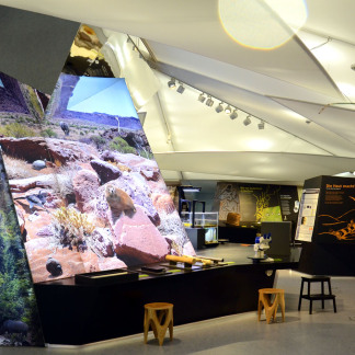 ( Bild: Christina Schmid / Stadt Nürnberg ) Bionicum Ausstellung