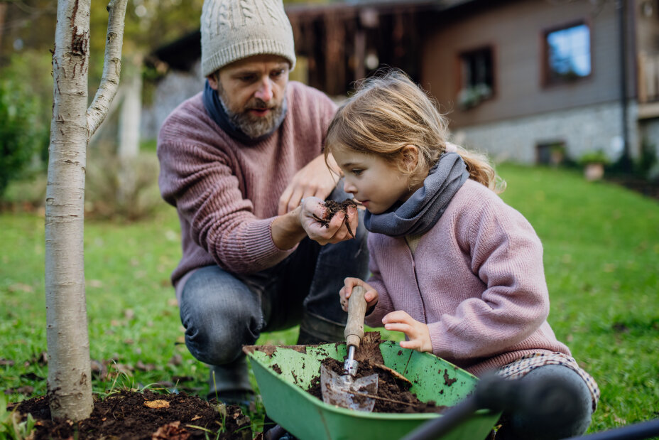 Bild © AdobeStock Little girl and father planting tree in garden in the spring, using compost. Girl smelling compost, learning abou composting. Concept of sustainable gardening family gardening., Bild © AdobeStock