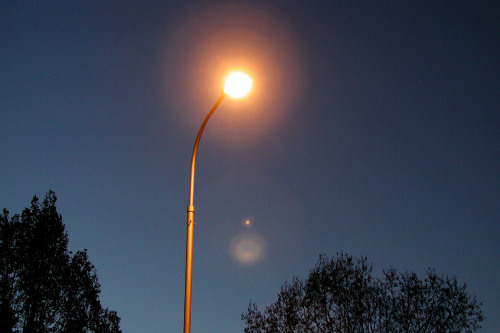 Leuchtende Straßenlaterne in der Nacht.