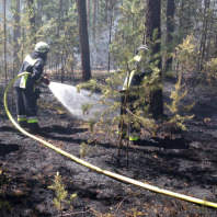 Feuerwehrleute bekämpfen einen Waldbrand.