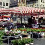 Blick über den Wochenmarkt am Hauptmarkt, im Hintergrund der Schöne Brunnen