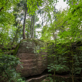 ( Bild: Christine Dierenbach / Stadt Nürnberg ) Der alte Steinbruch ist nun ein Naturidyll.