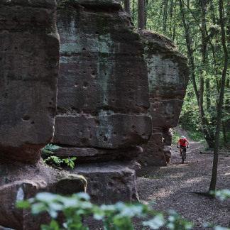 ( Bild: Gerhard Illig / Stadt Nürnberg ) Und Treffpunkt für Sportler.