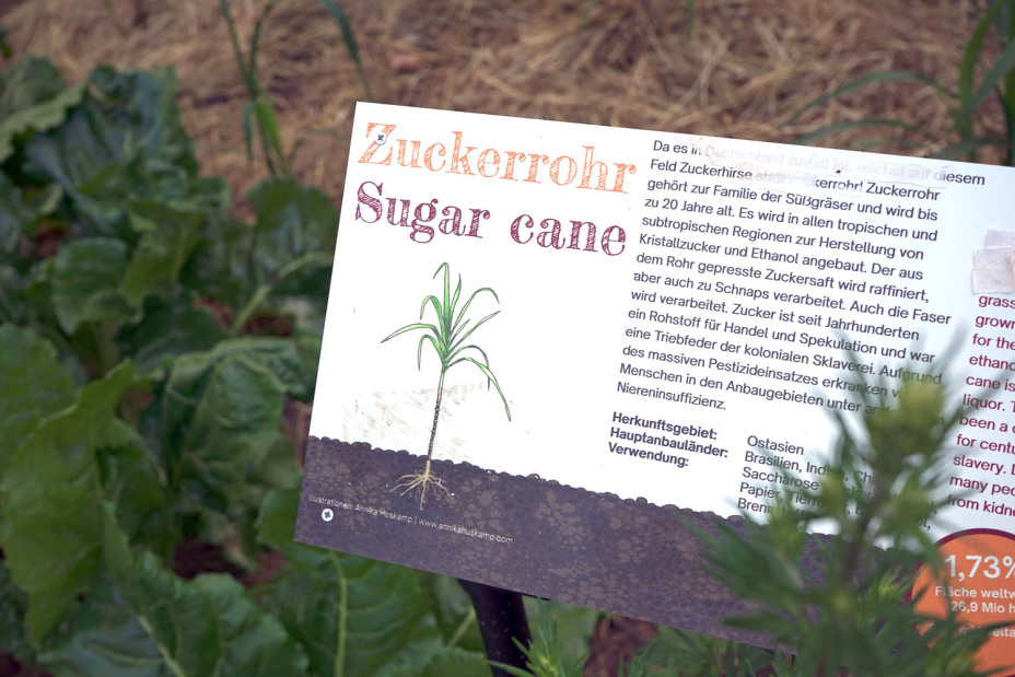 Bild © Leopold Werner / Stadt Nürnberg Weltacker in Nürnberg., Bild © Leopold Werner / Stadt Nürnberg