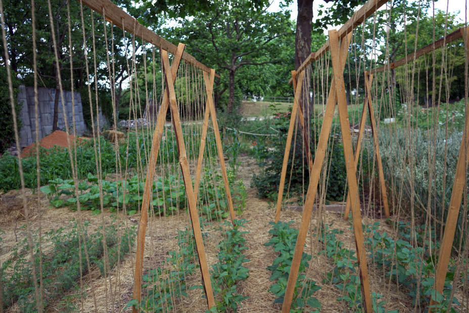 Bild © Leopold Werner / Stadt Nürnberg Weltacker in Nürnberg, Bild © Leopold Werner / Stadt Nürnberg