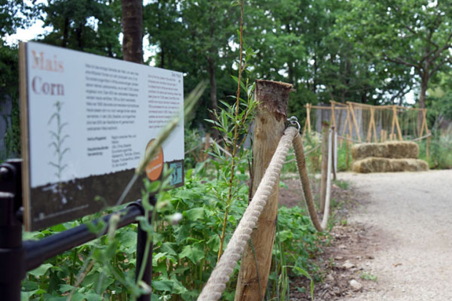 Bild © Leopold Werner / Stadt Nürnberg Ein ehemaliger Parkplatz am Westpark ist nun Ort für den „Weltacker“ in Nürnberg., Bild © Leopold Werner / Stadt Nürnberg