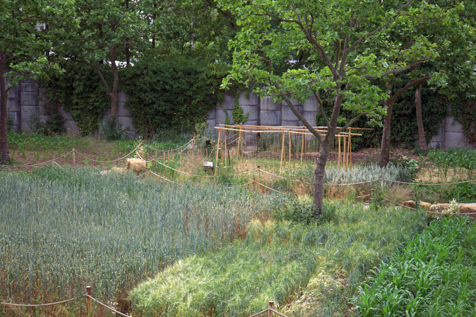 Bild © Leopold Werner / Stadt Nürnberg Weltacker in Nürnberg., Bild © Leopold Werner / Stadt Nürnberg