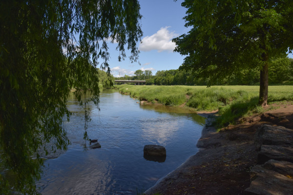 Ufer der Pegnitz im Pegnitztal West