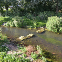 Die Ufer sind naturnah und reichlich bepflanzt. Große Trittsteine laden zum Näherkommen ein.