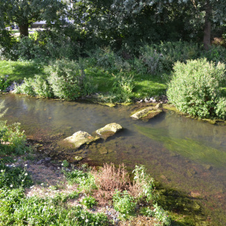 ( Bild: Heike Bauer / Stadt Nürnberg ) Die Ufer sind naturnah und reichlich bepflanzt. Große Trittsteine laden zum Näherkommen ein.