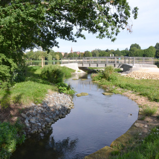 ( Bild: Heike Bauer / Stadt Nürnberg ) Über den Goldbach läuft das Wasser aus der Bucht anschließend in den südlichen Arm der Pegnitz ab. Der Bachlauf wurde renaturiert.