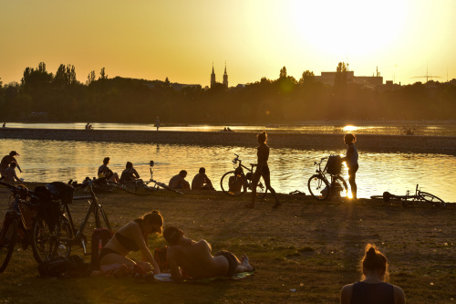 Uferwiese an der Norikusbucht bei Sonnenuntergang.