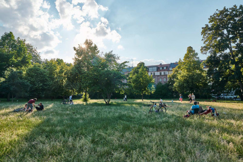 © Gerhard Illig / Stadt Nürnberg Rosenaupark im Sommer. © Gerhard Illig / Stadt Nürnberg