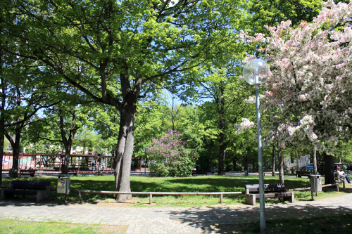 Der Kobergerplatz in der Nordstadt.