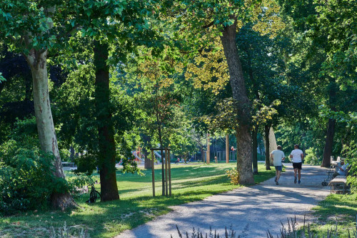 Kontumazgarten im Sommer.