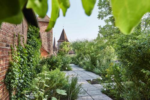 Heilkräutergarten am Hallertor.