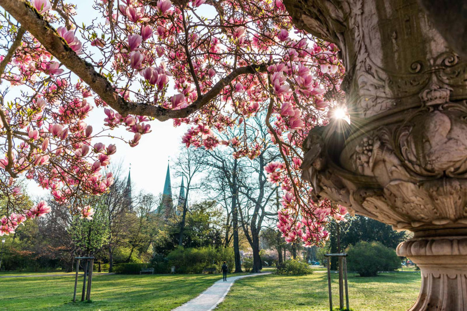 Stadtpark im Frühling.