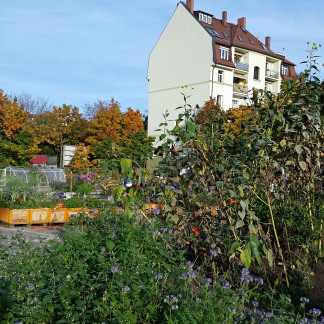 ( Bild: Johannes Barthel / Stadt Nürnberg ) Erntefest im Stadtgarten