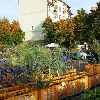 ( Bild: Johannes Barthel / Stadt Nürnberg ) Erntefest im Stadtgarten