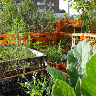 ( Bild: Johannes Barthel / Stadt Nürnberg ) Erntefest im Stadtgarten