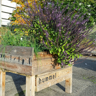 ( Bild: Johannes Barthel / Stadt Nürnberg ) Erntefest im Stadtgarten