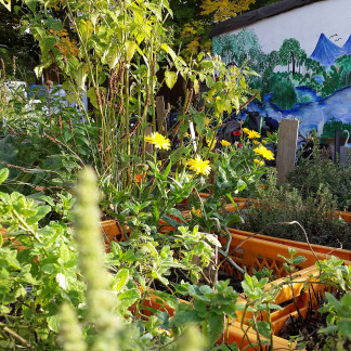 ( Bild: Johannes Barthel / Stadt Nürnberg ) Erntefest im Stadtgarten
