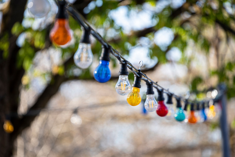 Eine Lichterkette mit bunten Lampen ist zwischen Bäumen aufgehängt.