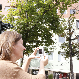 ( Bild: Giulia Iannicelli / Stadt Nürnberg ) Besonders der zur Theresienstraße ausgerichtete Baum macht mit seinen kahlen Ästen und braunen Blättern einen bemitleidenswerten Eindruck.