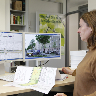 ( Bild: Giulia Iannicelli / Stadt Nürnberg ) Mithilfe von Basisdaten aus dem Geodaten-Service ermittelt Petra Wang den genauen Standort des Baums.