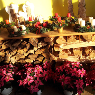 ( Bild: Heike Bauer / Stadt Nürnberg ) Adventsmarkt im Gartenbau