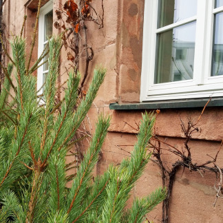 ( Bild: Heike Bauer / Stadt Nürnberg ) Laufamholzer Weihnachtsmarkt